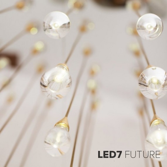 Pour Lights by Design Haus Liberty